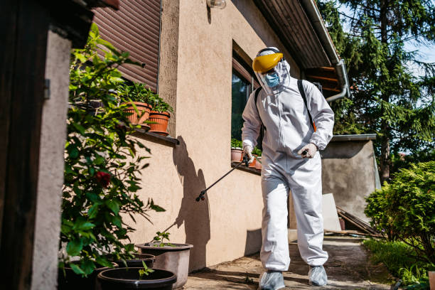 Best Affordable Pest Control Services  in Seth Ward, TX